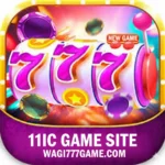 11ic Game