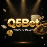 Q5Bet Game