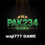 Pak234 Game